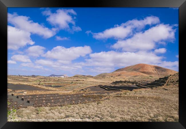 Agricultural Landscape in the Timanfaya National P Framed Print by Michael Shannon