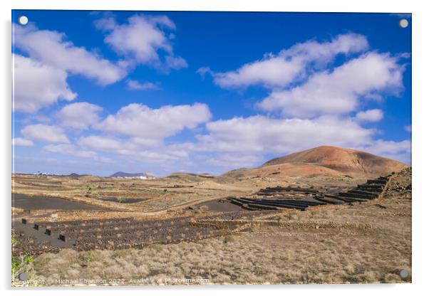 Agricultural Landscape in the Timanfaya National P Acrylic by Michael Shannon