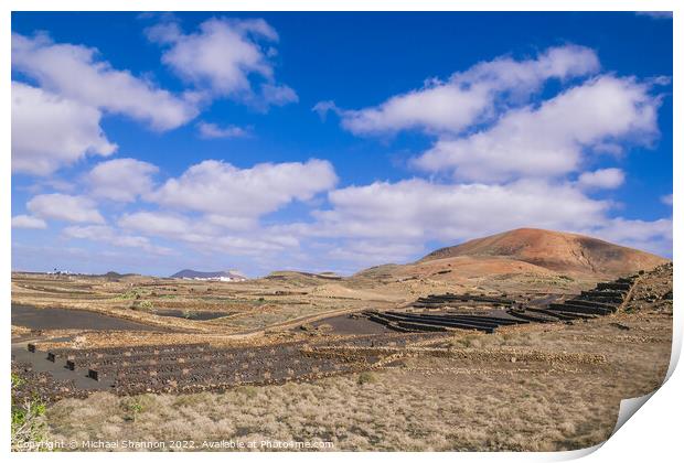 Agricultural Landscape in the Timanfaya National P Print by Michael Shannon