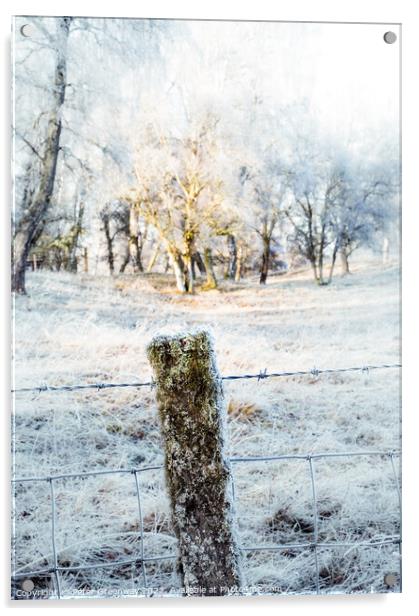 Frozen Moss Covered Fencing Post On The Roadside In The Scottish Acrylic by Peter Greenway