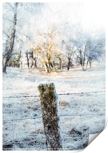 Frozen Moss Covered Fencing Post On The Roadside In The Scottish Print by Peter Greenway