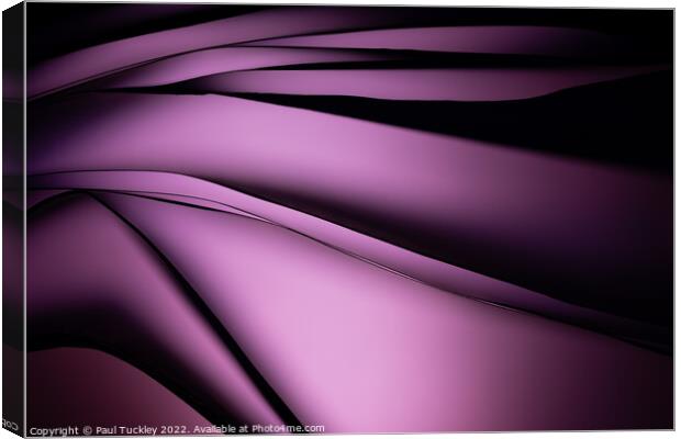 Shades of Purple  Canvas Print by Paul Tuckley