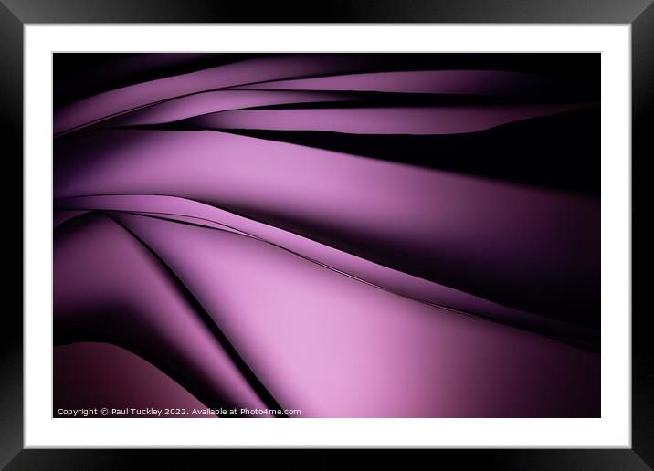 Shades of Purple  Framed Mounted Print by Paul Tuckley