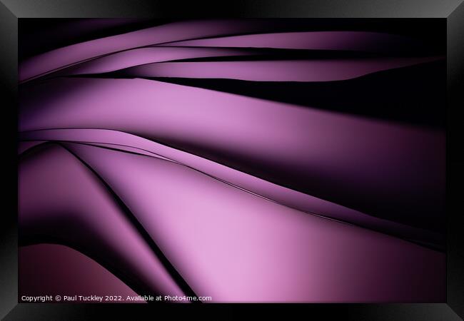 Shades of Purple  Framed Print by Paul Tuckley