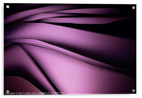 Shades of Purple  Acrylic by Paul Tuckley