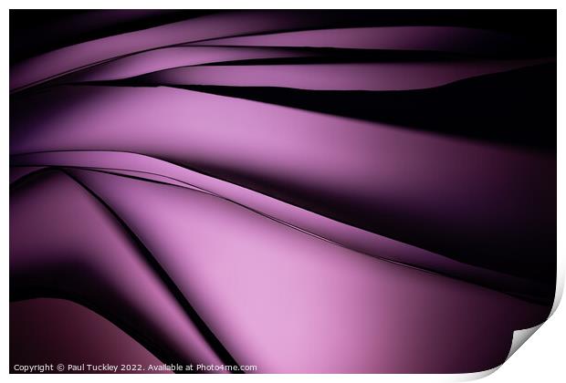 Shades of Purple  Print by Paul Tuckley