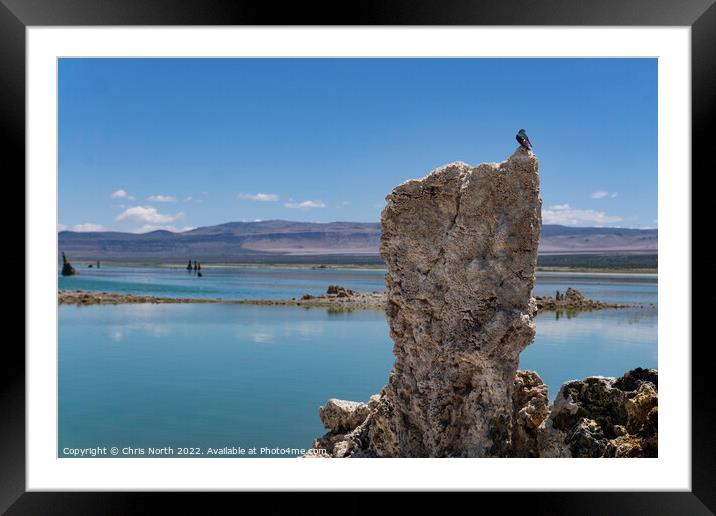 Lava pillow on mono lake. Framed Mounted Print by Chris North