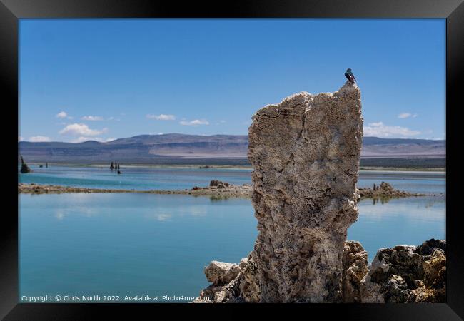 Lava pillow on mono lake. Framed Print by Chris North