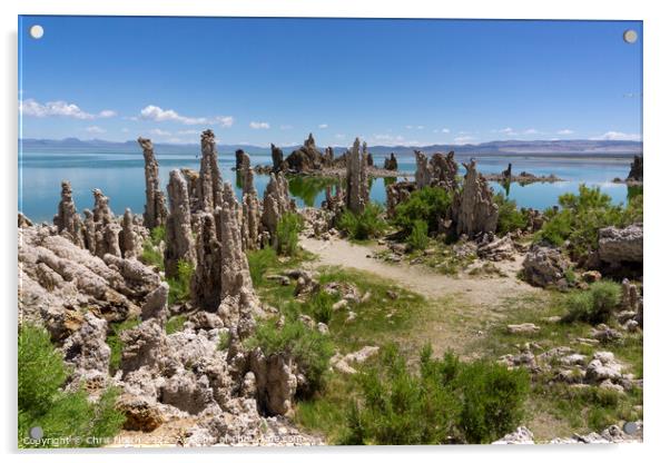 Natural lava sculptures on lake Mono Acrylic by Chris North