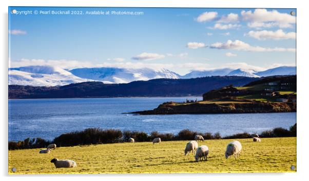 Anglesey Coast Landscape Wales Acrylic by Pearl Bucknall