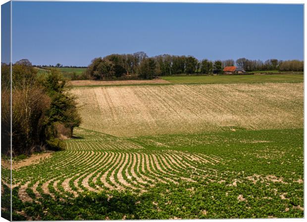 Downland Farmhouse Canvas Print by Gerry Walden LRPS