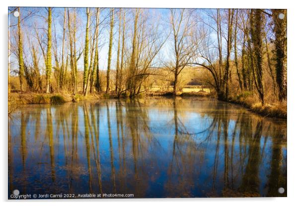 La Moixina wetlands in winter, La Garrotxa - 2 - Acrylic by Jordi Carrio
