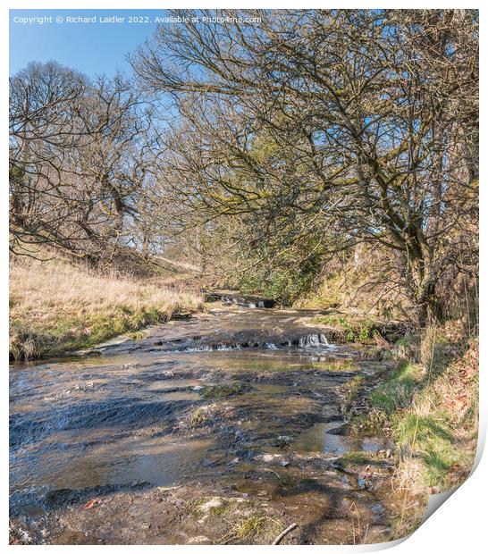 Wilden Beck, Cotherstone, Teesdale Print by Richard Laidler