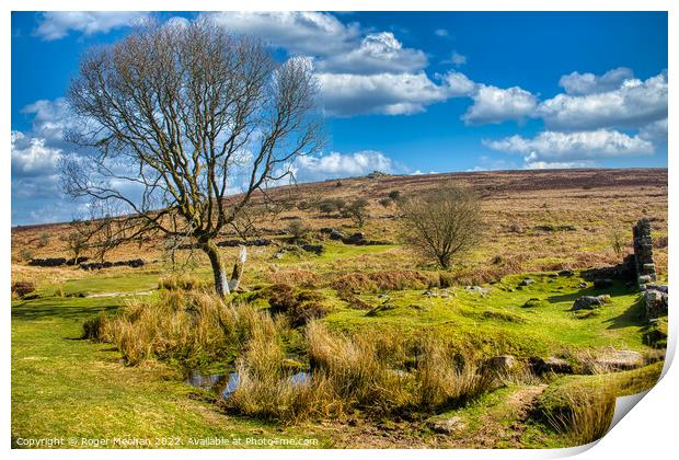 Dartmoor farm, stream and tor in sunny valley Print by Roger Mechan