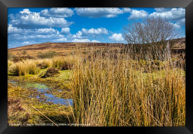 Dartmoor bogs and wild moorland Framed Print by Roger Mechan