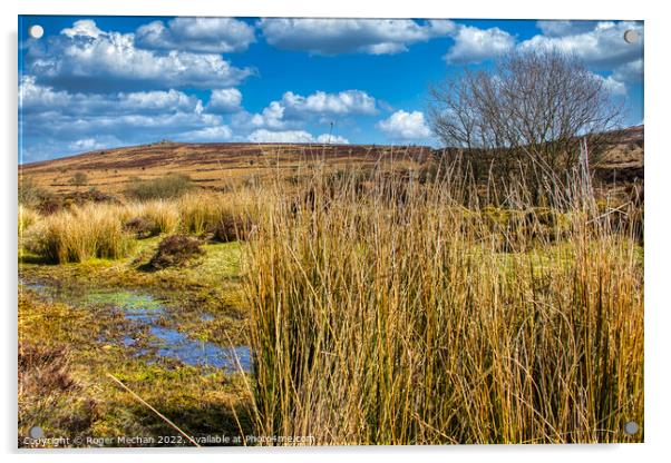 Dartmoor bogs and wild moorland Acrylic by Roger Mechan