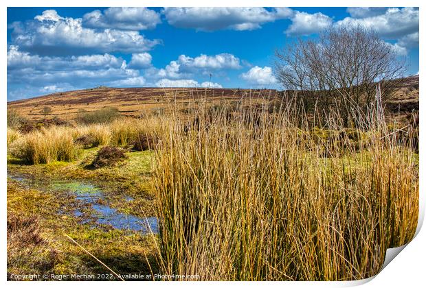 Dartmoor bogs and wild moorland Print by Roger Mechan