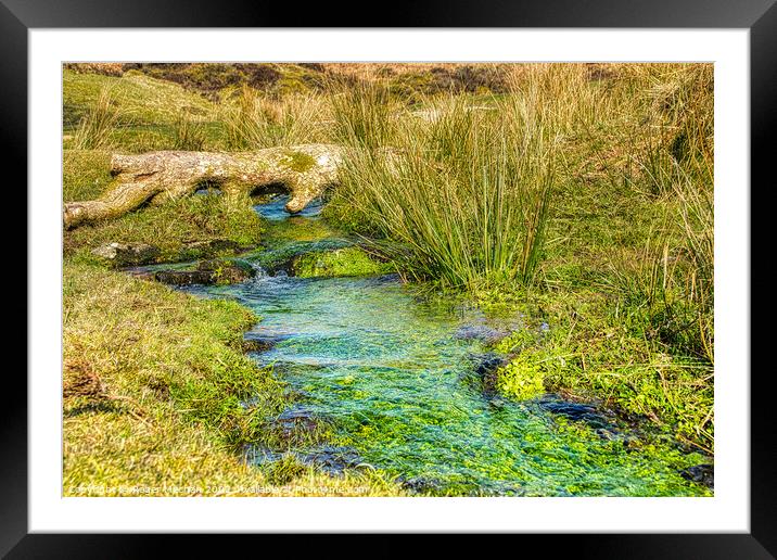 Tranquil Dartmoor Stream Framed Mounted Print by Roger Mechan