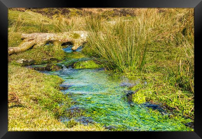 Tranquil Dartmoor Stream Framed Print by Roger Mechan