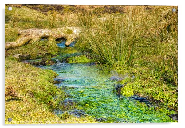Tranquil Dartmoor Stream Acrylic by Roger Mechan