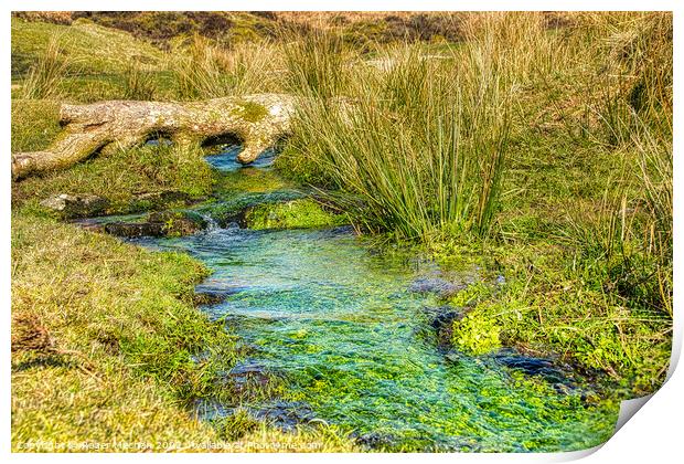 Tranquil Dartmoor Stream Print by Roger Mechan