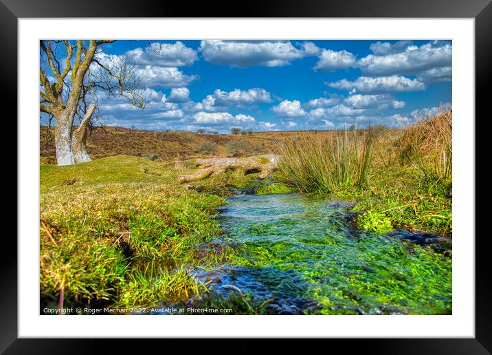 Tranquil Stream Among Dartmoor's Wild Landscape Framed Mounted Print by Roger Mechan