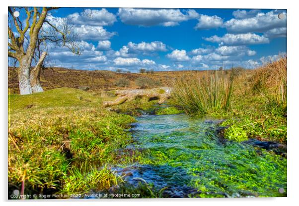 Tranquil Stream Among Dartmoor's Wild Landscape Acrylic by Roger Mechan