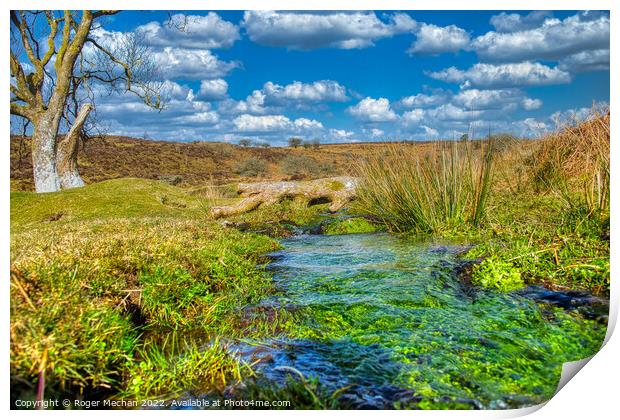 Tranquil Stream Among Dartmoor's Wild Landscape Print by Roger Mechan
