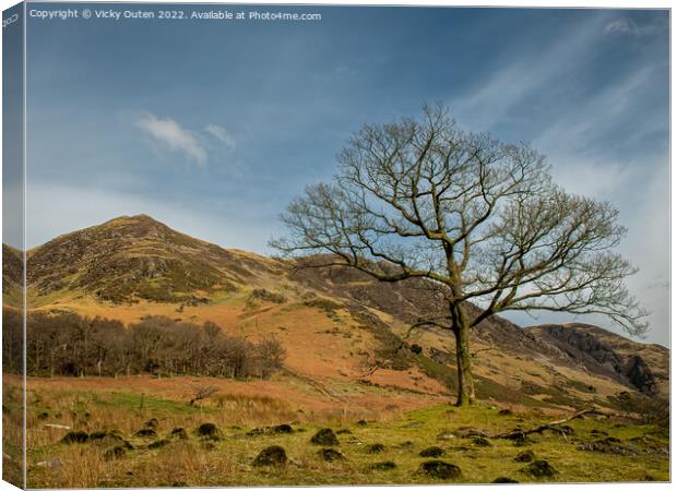 A lone tree at Buttermere in the Lake District  Canvas Print by Vicky Outen