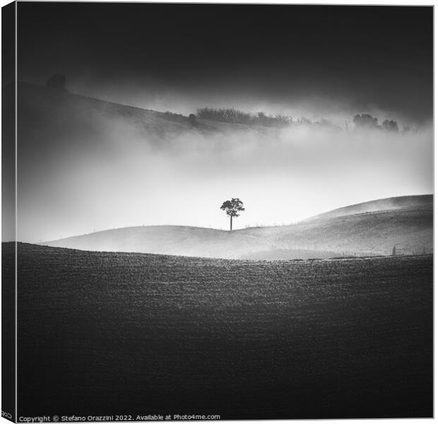 Alone in the Fog II Canvas Print by Stefano Orazzini