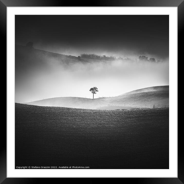 Alone in the Fog II Framed Mounted Print by Stefano Orazzini