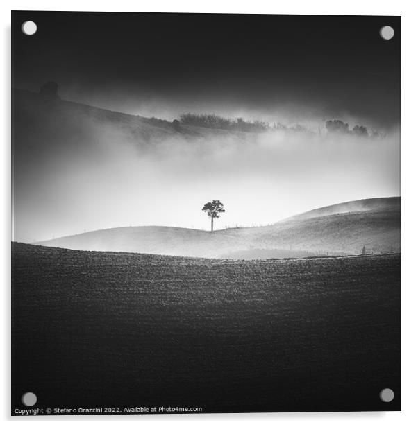 Alone in the Fog II Acrylic by Stefano Orazzini