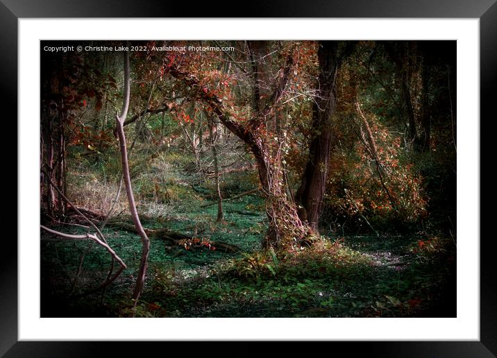 The Swamp Framed Mounted Print by Christine Lake