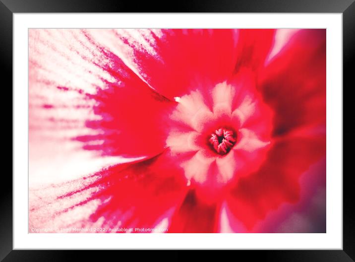 Red passion Framed Mounted Print by Ingo Menhard