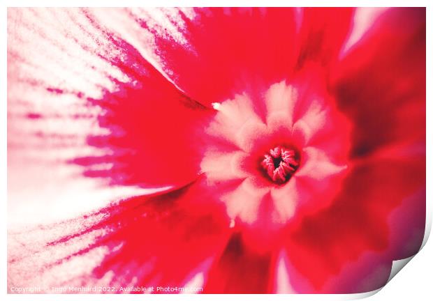 Red passion Print by Ingo Menhard