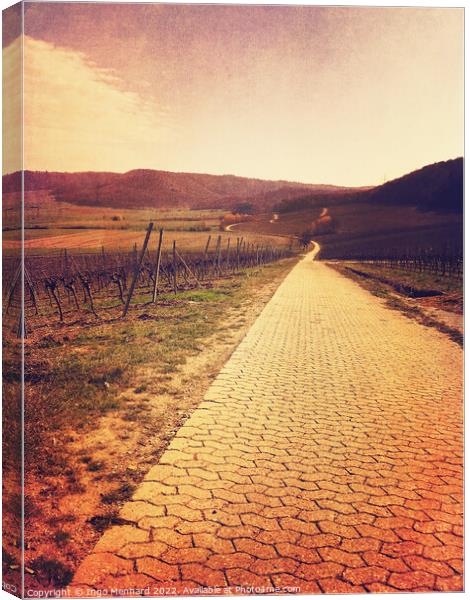 The red wine walk Canvas Print by Ingo Menhard