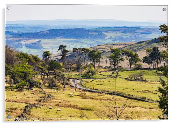 Ayrshire Valley from Lochwinnoch - Scotland Acrylic by Peter Gaeng