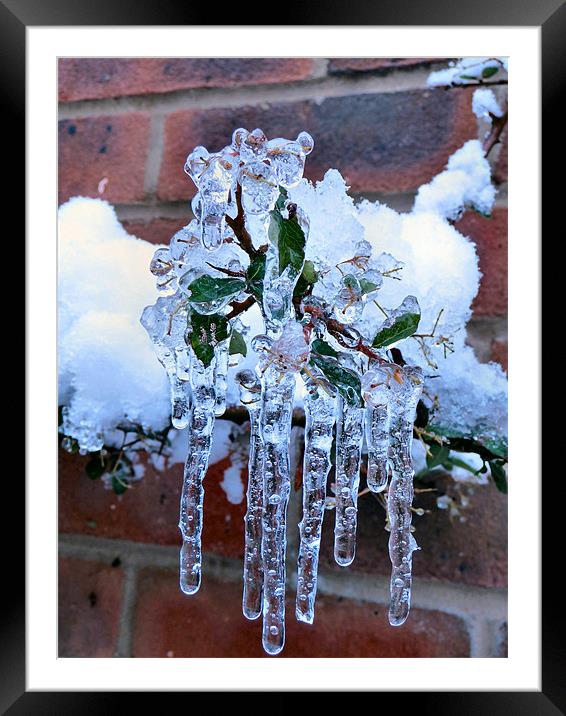 icicles Framed Mounted Print by Raymond Partlett