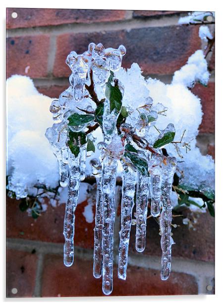 icicles Acrylic by Raymond Partlett