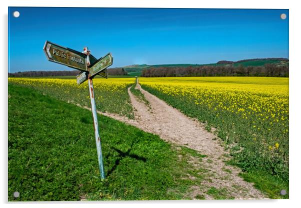 A Leaning Sign Acrylic by Joyce Storey