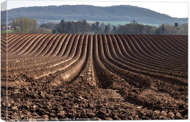 Freshly Ploughed Field Ready For Planting Canvas Print by Pamela Reynolds