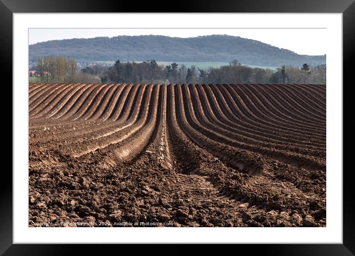 Freshly Ploughed Field Ready For Planting Framed Mounted Print by Pamela Reynolds