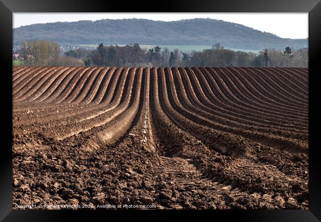 Freshly Ploughed Field Ready For Planting Framed Print by Pamela Reynolds