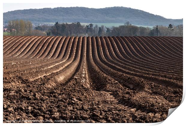 Freshly Ploughed Field Ready For Planting Print by Pamela Reynolds