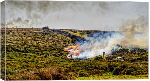 Burning The Gorse On Dartmoor Canvas Print by Peter F Hunt