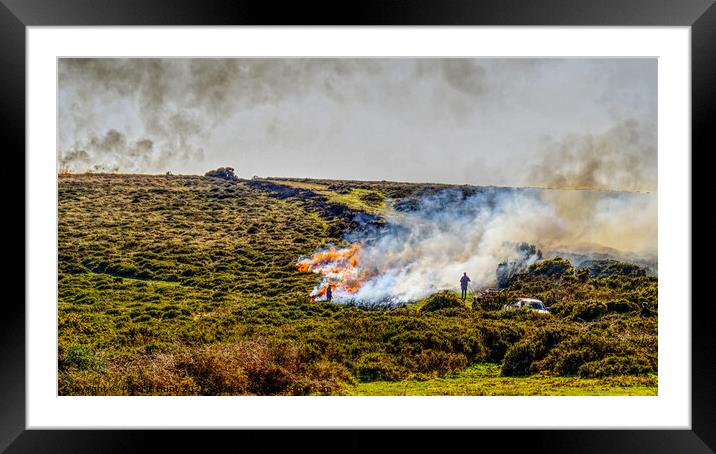 Burning The Gorse On Dartmoor Framed Mounted Print by Peter F Hunt