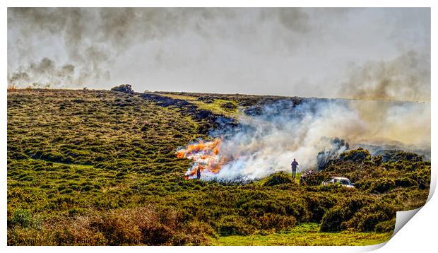 Burning The Gorse On Dartmoor Print by Peter F Hunt