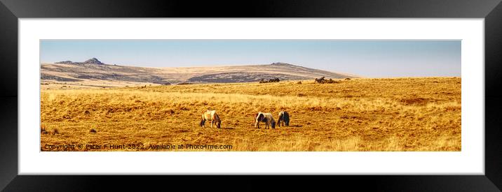 A March Day On Dartmoor Framed Mounted Print by Peter F Hunt