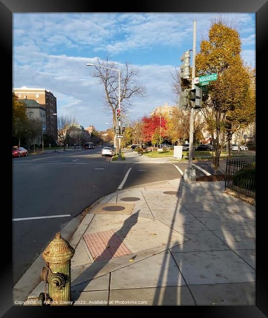 Autumn shadows in Washington DC Framed Print by Patrick Davey