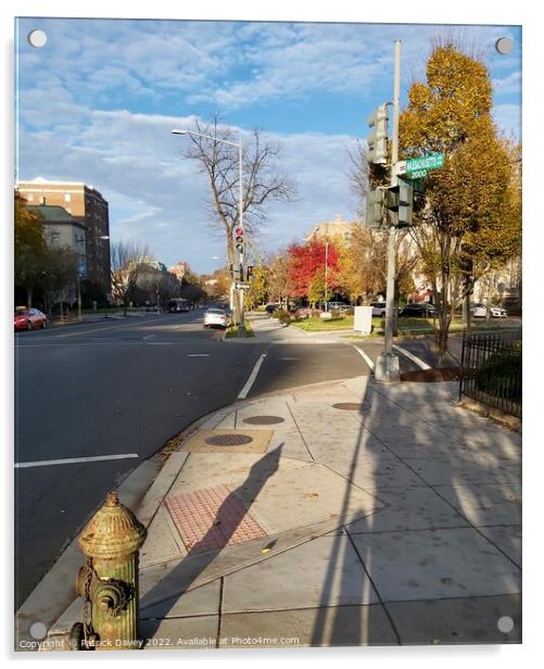 Autumn shadows in Washington DC Acrylic by Patrick Davey